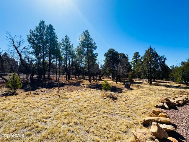 5661 COUGAR Drive, Happy Jack, AZ 86024