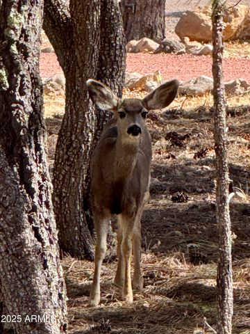 5661 COUGAR Drive, Happy Jack, AZ 86024