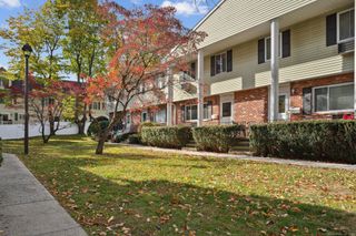 69 Maple Tree Avenue APT 4, Stamford, CT 06906
