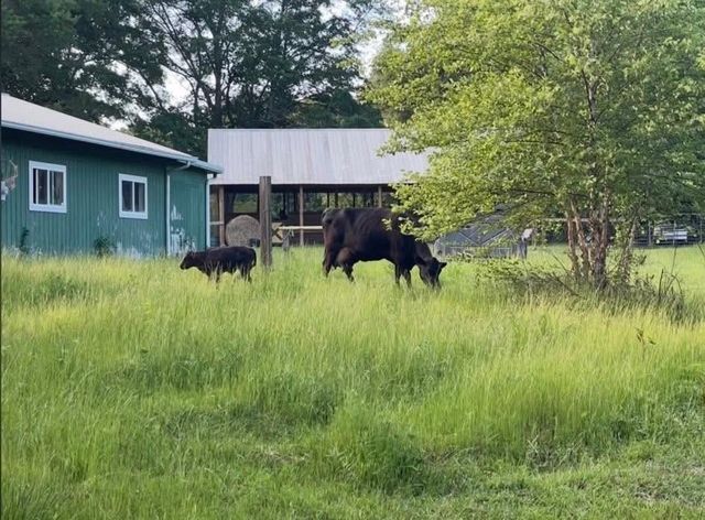 8420 Cleckler Road, Palmetto, GA 30268