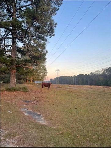 8420 Cleckler Road, Palmetto, GA 30268