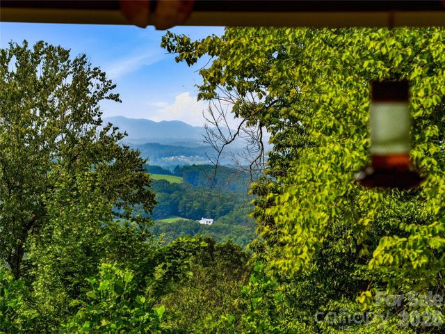 226 High Top Mountain Road, Leicester, NC 28748