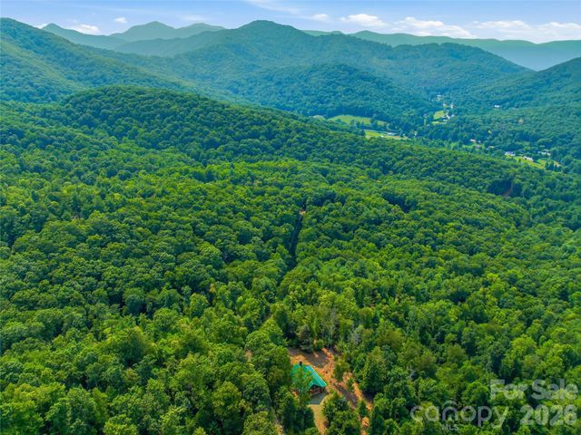 226 High Top Mountain Road, Leicester, NC 28748