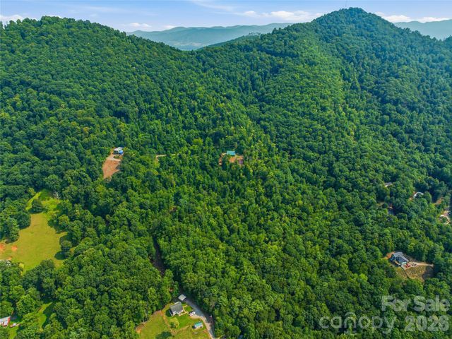226 High Top Mountain Road, Leicester, NC 28748