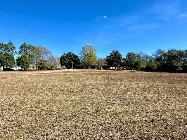 8705 Cr-99, Newville, AL 36353