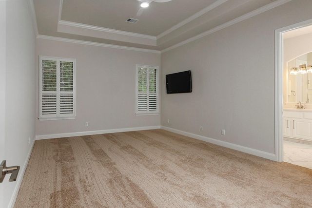 22 Mill Point Place, The Woodlands, TX 77380