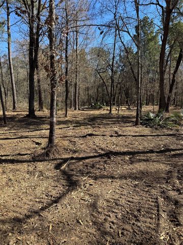 16 AC Steede Rd, Montgomery, TX 77356