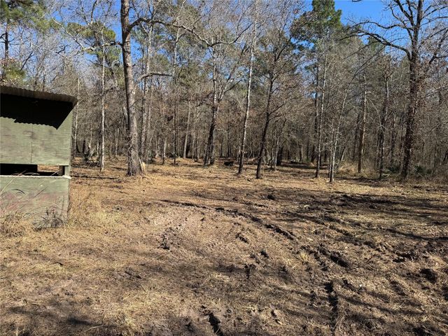 16 AC Steede Rd, Montgomery, TX 77356