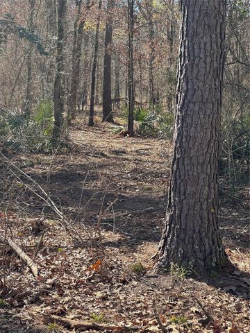 16 AC Steede Rd, Montgomery, TX 77356