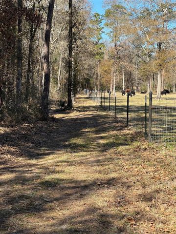 16 AC Steede Rd, Montgomery, TX 77356