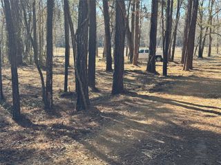 16 AC Steede Rd, Montgomery, TX 77356