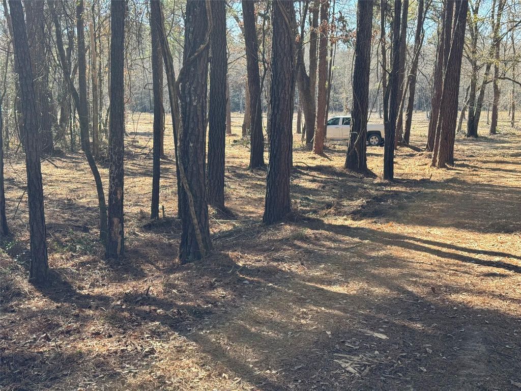 16 AC Steede Rd, Montgomery, TX 77356