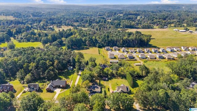 1125 HICKORY DRIVE, Morris, AL 35116