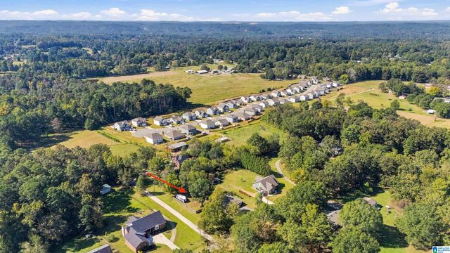 1125 HICKORY DRIVE, Morris, AL 35116