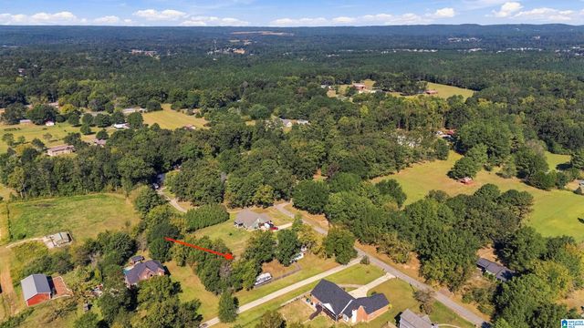 1125 HICKORY DRIVE, Morris, AL 35116