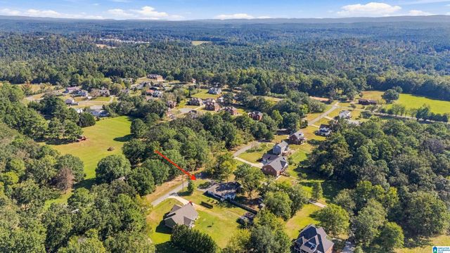 1125 HICKORY DRIVE, Morris, AL 35116