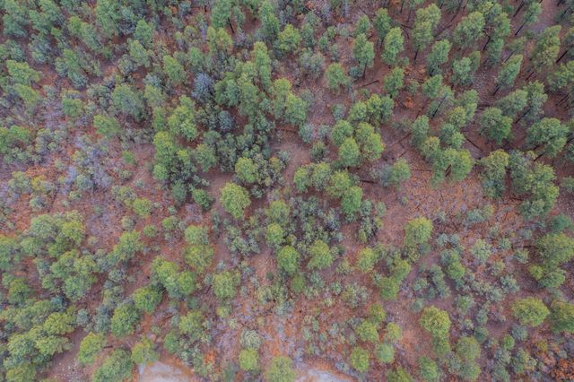 21 Estrella Vista Drive, Tijeras, NM 87059