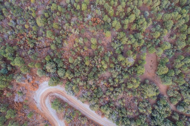 21 Estrella Vista Drive, Tijeras, NM 87059