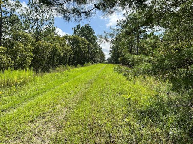 TBD SW 93RD STREET, Dunnellon, FL 34432