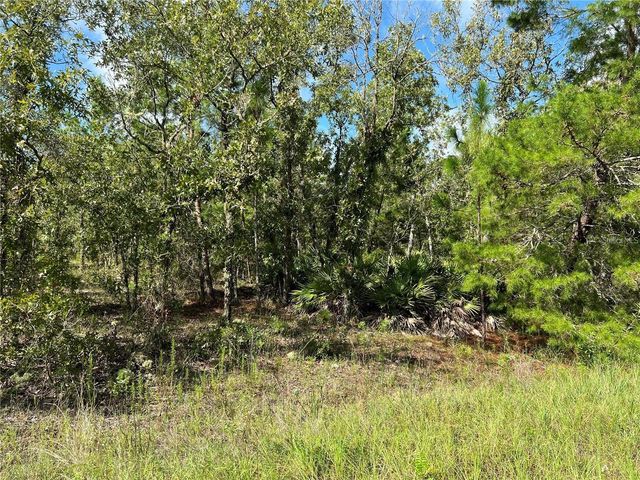 TBD SW 93RD STREET, Dunnellon, FL 34432