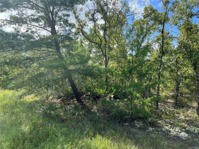 TBD SW 93RD STREET, Dunnellon, FL 34432