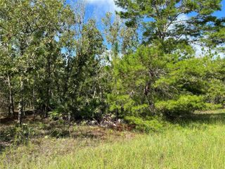 TBD SW 93RD STREET, Dunnellon, FL 34432