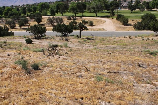 0 Buckthorn, Hesperia, CA 92345