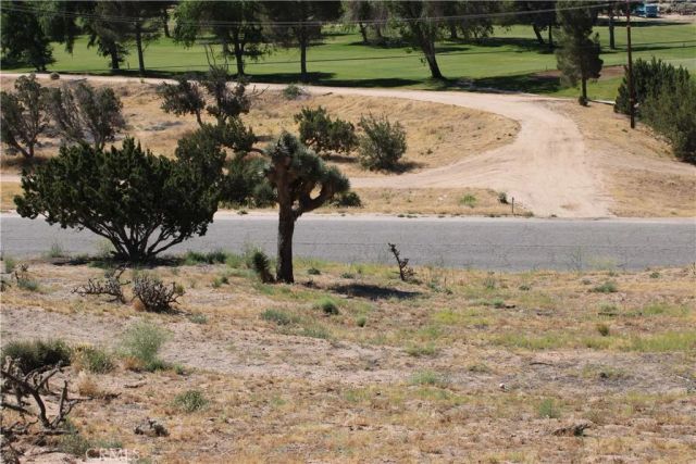 0 Buckthorn, Hesperia, CA 92345