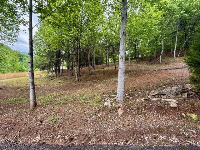 876 Gibson Hill Road, Hiawassee, GA 30546