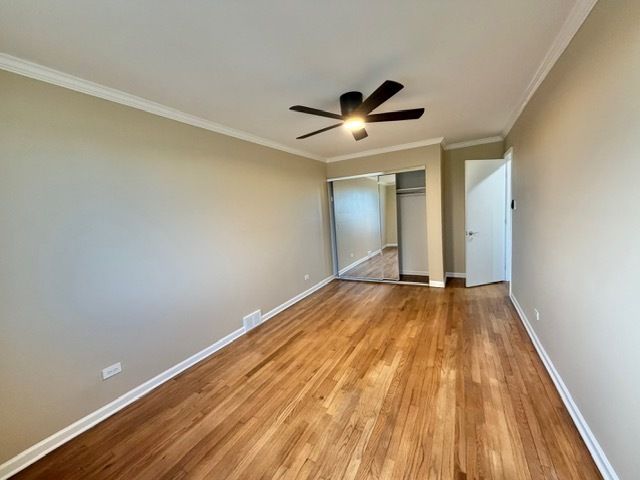 2817 S Michigan Avenue A, Chicago, IL 60616