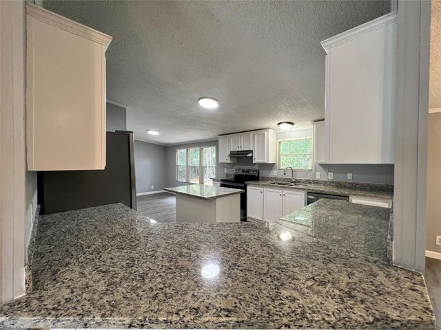 16435 Desert Star Court, Conroe, TX 77302