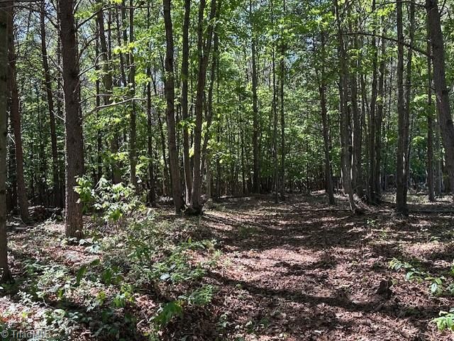 186 Fisher Valley Road, Dobson, NC 27017