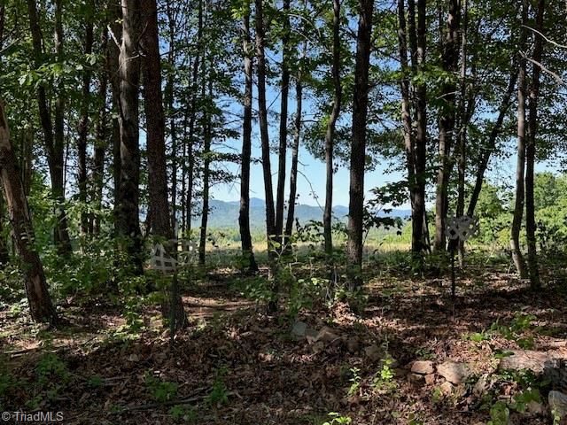 186 Fisher Valley Road, Dobson, NC 27017