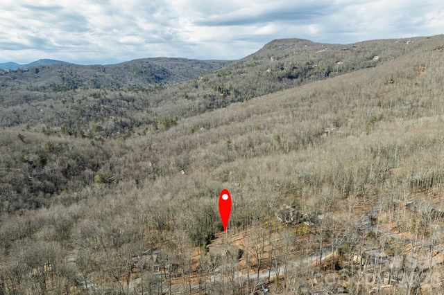 1600 Black Oak Drive, Sapphire, NC 28774