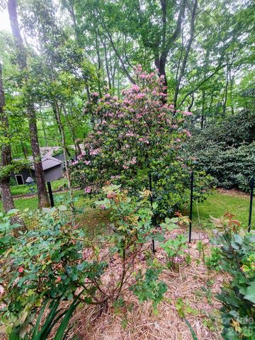 1600 Black Oak Drive, Sapphire, NC 28774