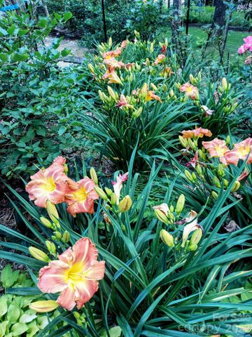 1600 Black Oak Drive, Sapphire, NC 28774