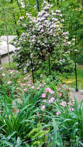 1600 Black Oak Drive, Sapphire, NC 28774