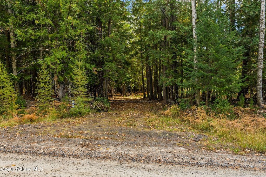 NNA Morris Road, Naples, ID 83847 photo 4