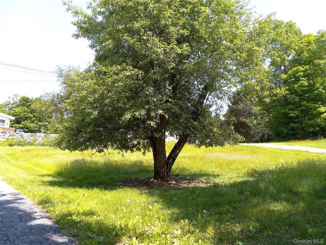 220-224 Hobbs Lane 220 224A 224B, Clinton Corners, NY 12514