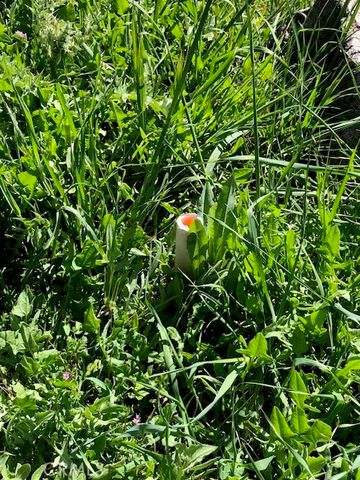 5657 Yuki Court, Kelseyville, CA 95451