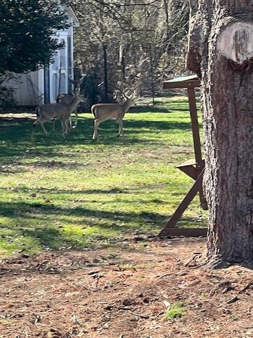 132 Choctaw Dr, Hendersonville, TN 37075