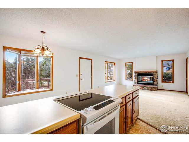 1791 Olympian Ln A, Estes Park, CO 80517