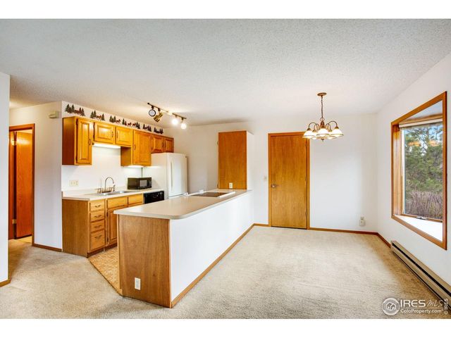 1791 Olympian Ln A, Estes Park, CO 80517