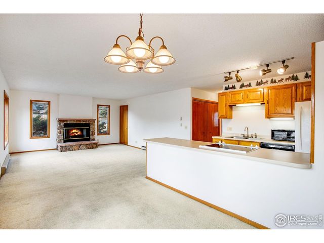 1791 Olympian Ln A, Estes Park, CO 80517