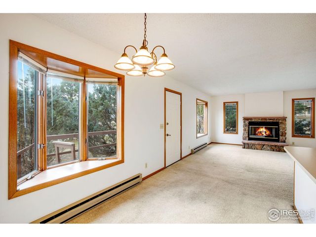 1791 Olympian Ln A, Estes Park, CO 80517