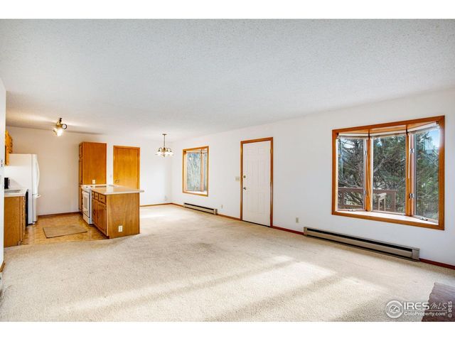 1791 Olympian Ln A, Estes Park, CO 80517