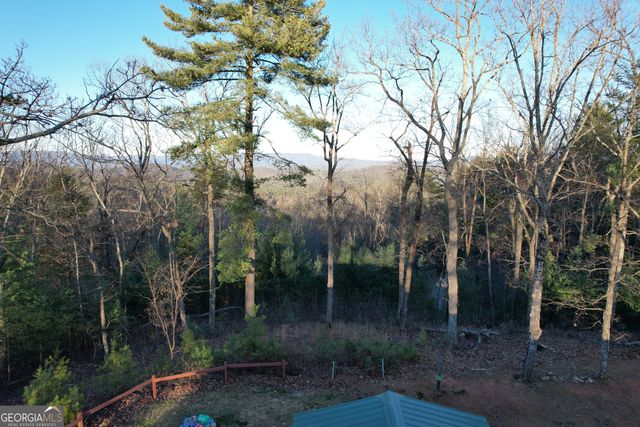 1487 Morton Drive, Ellijay, GA 30540
