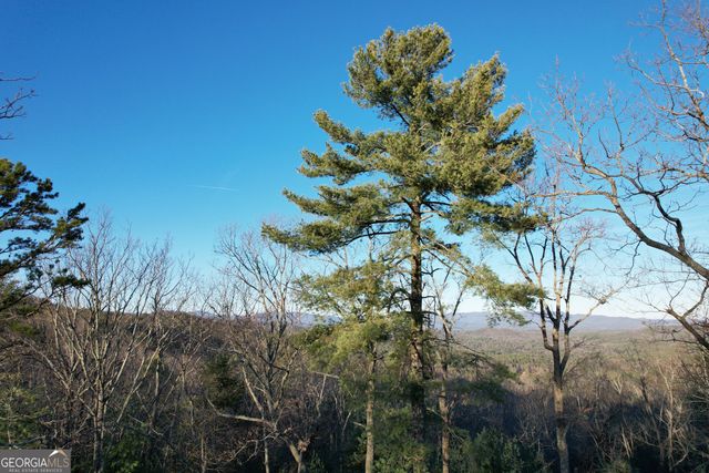 1487 Morton Drive, Ellijay, GA 30540