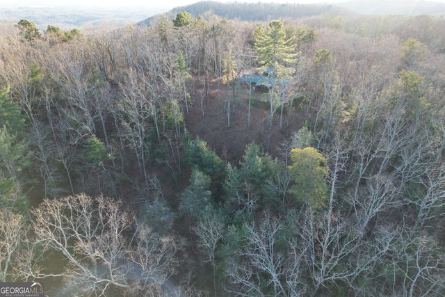 1487 Morton Drive, Ellijay, GA 30540