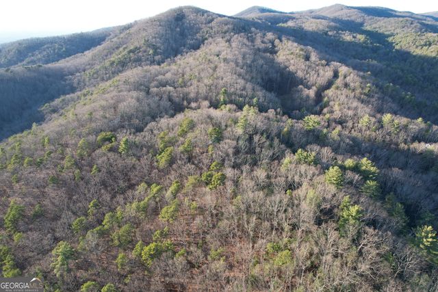 1487 Morton Drive, Ellijay, GA 30540
